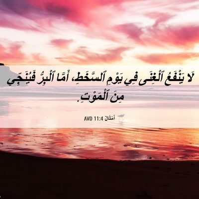 Picture 06 - أَمْثَالٌ 11:4 AVD - لَا يَنْفَعُ ٱلْغِنَى فِي - Bible Verse Picture