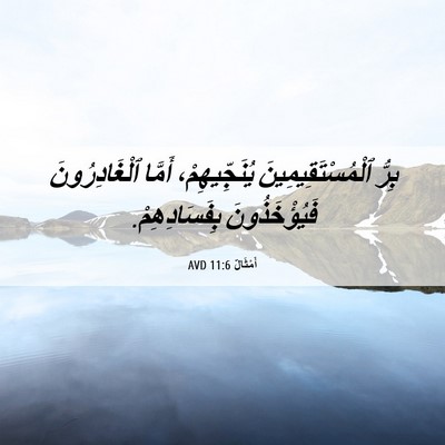 Picture 06 - أَمْثَالٌ 11:6 AVD - بِرُّ ٱلْمُسْتَقِيمِينَ - Bible Verse Picture