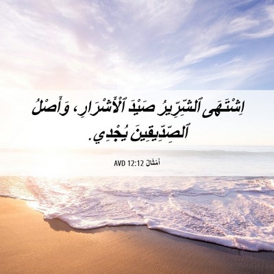Picture 06 - أَمْثَالٌ 12:12 AVD - اِشْتَهَى ٱلشِّرِّيرُ - Bible Verse Picture