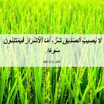 Picture 06 - أَمْثَالٌ 12:21 AVD - لَا يُصِيبُ ٱلصِّدِّيقَ - Bible Verse Picture