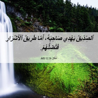 Picture 06 - أَمْثَالٌ 12:26 AVD - ٱلصِّدِّيقُ يَهْدِي - Bible Verse Picture