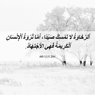 Picture 06 - أَمْثَالٌ 12:27 AVD - ٱلرَّخَاوَةُ لَا تَمْسِكُ - Bible Verse Picture