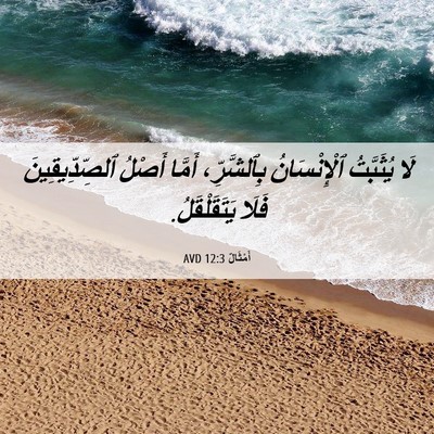 Picture 06 - أَمْثَالٌ 12:3 AVD - لَا يُثَبَّتُ - Bible Verse Picture