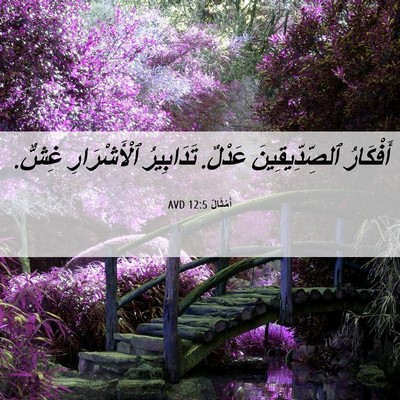 Picture 06 - أَمْثَالٌ 12:5 AVD - أَفْكَارُ ٱلصِّدِّيقِينَ - Bible Verse Picture