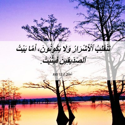 Picture 06 - أَمْثَالٌ 12:7 AVD - تَنْقَلِبُ ٱلْأَشْرَارُ - Bible Verse Picture