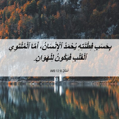 Picture 06 - أَمْثَالٌ 12:8 AVD - بِحَسَبِ فِطْنَتِهِ - Bible Verse Picture