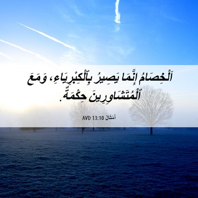 Picture 06 - أَمْثَالٌ 13:10 AVD - اَلْخِصَامُ إِنَّمَا - Bible Verse Picture