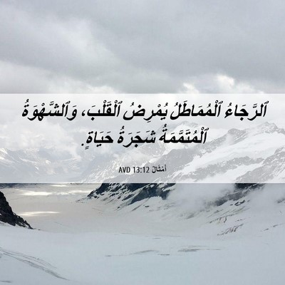 Picture 06 - أَمْثَالٌ 13:12 AVD - ٱلرَّجَاءُ ٱلْمُمَاطَلُ - Bible Verse Picture