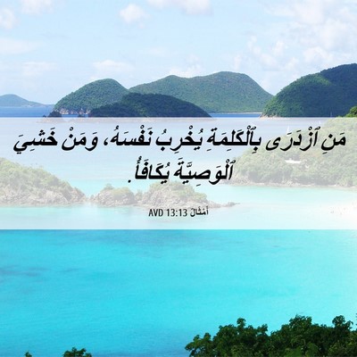 Picture 06 - أَمْثَالٌ 13:13 AVD - مَنِ ٱزْدَرَى - Bible Verse Picture