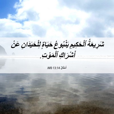 Picture 06 - أَمْثَالٌ 13:14 AVD - شَرِيعَةُ ٱلْحَكِيمِ - Bible Verse Picture