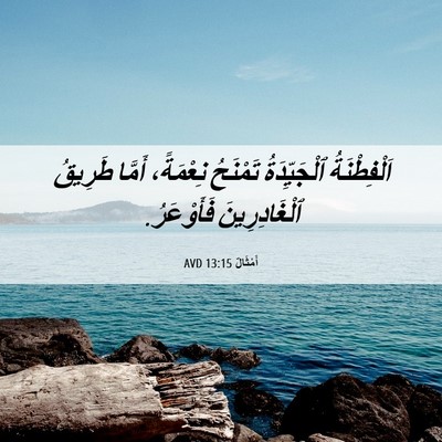 Picture 06 - أَمْثَالٌ 13:15 AVD - اَلْفِطْنَةُ ٱلْجَيِّدَةُ - Bible Verse Picture