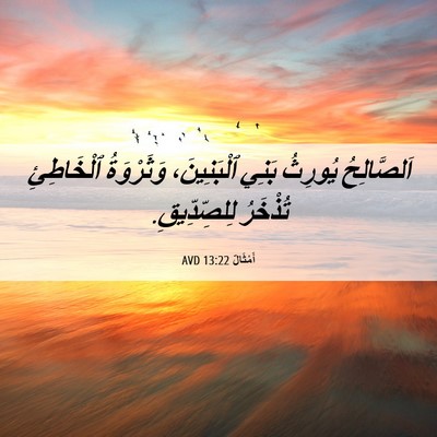 Picture 06 - أَمْثَالٌ 13:22 AVD - اَلصَّالِحُ يُورِثُ بَنِي - Bible Verse Picture