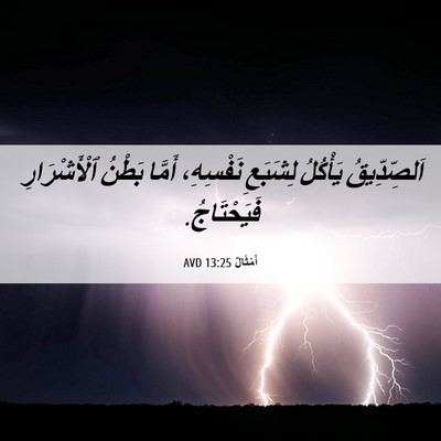 Picture 06 - أَمْثَالٌ 13:25 AVD - اَلصِّدِّيقُ يَأْكُلُ - Bible Verse Picture