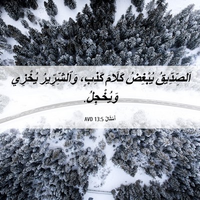 Picture 06 - أَمْثَالٌ 13:5 AVD - اَلصِّدِّيقُ يُبْغِضُ - Bible Verse Picture