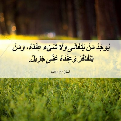 Picture 06 - أَمْثَالٌ 13:7 AVD - يُوجَدُ مَنْ يَتَغَانَى - Bible Verse Picture