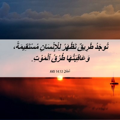 Picture 06 - أَمْثَالٌ 14:12 AVD - تُوجَدُ طَرِيقٌ تَظْهَرُ - Bible Verse Picture
