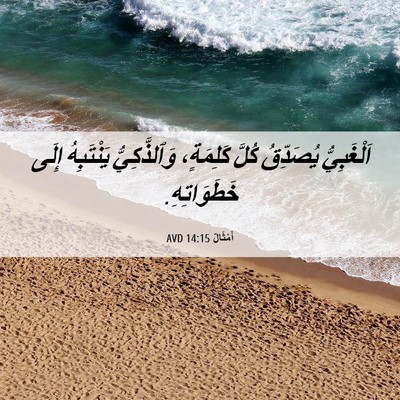 Picture 06 - أَمْثَالٌ 14:15 AVD - اَلْغَبِيُّ يُصَدِّقُ - Bible Verse Picture