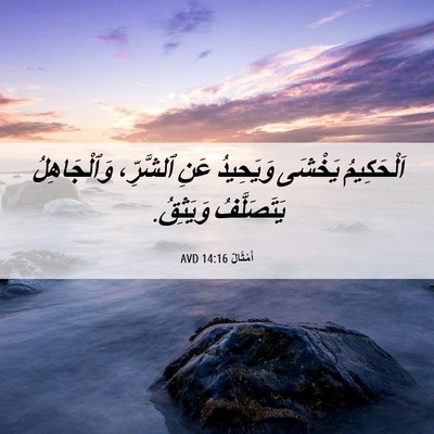Picture 06 - أَمْثَالٌ 14:16 AVD - اَلْحَكِيمُ يَخْشَى - Bible Verse Picture