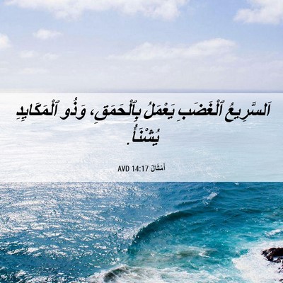 Picture 06 - أَمْثَالٌ 14:17 AVD - اَلسَّرِيعُ ٱلْغَضَبِ - Bible Verse Picture