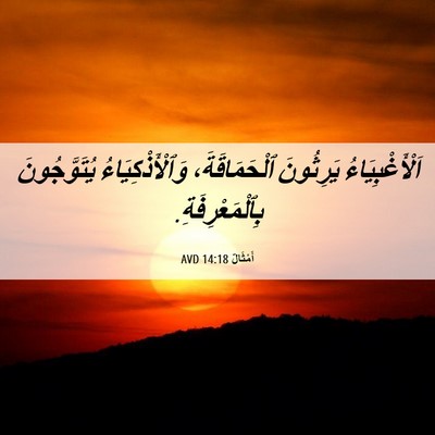 Picture 06 - أَمْثَالٌ 14:18 AVD - اَلْأَغْبِيَاءُ يَرِثُونَ - Bible Verse Picture