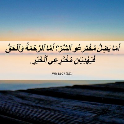 Picture 06 - أَمْثَالٌ 14:22 AVD - أَمَا يَضِلُّ مُخْتَرِعُو - Bible Verse Picture