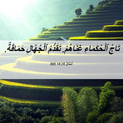 Picture 06 - أَمْثَالٌ 14:24 AVD - تَاجُ ٱلْحُكَمَاءِ - Bible Verse Picture