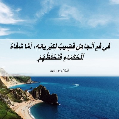 Picture 06 - أَمْثَالٌ 14:3 AVD - فِي فَمِ ٱلْجَاهِلِ - Bible Verse Picture