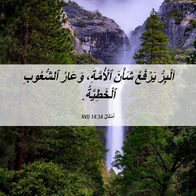 Picture 06 - أَمْثَالٌ 14:34 AVD - اَلْبِرُّ يَرْفَعُ شَأْنَ - Bible Verse Picture