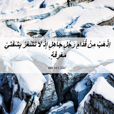 Picture 06 - أَمْثَالٌ 14:7 AVD - اِذْهَبْ مِنْ قُدَّامِ - Bible Verse Picture