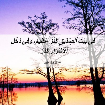 Picture 06 - أَمْثَالٌ 15:6 AVD - فِي بَيْتِ ٱلصِّدِّيقِ - Bible Verse Picture