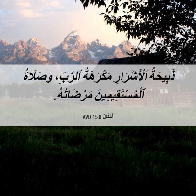 Picture 06 - أَمْثَالٌ 15:8 AVD - ذَبِيحَةُ ٱلْأَشْرَارِ - Bible Verse Picture
