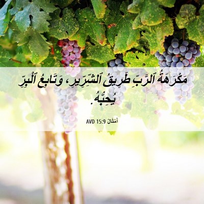 Picture 06 - أَمْثَالٌ 15:9 AVD - مَكْرَهَةُ ٱلرَّبِّ - Bible Verse Picture