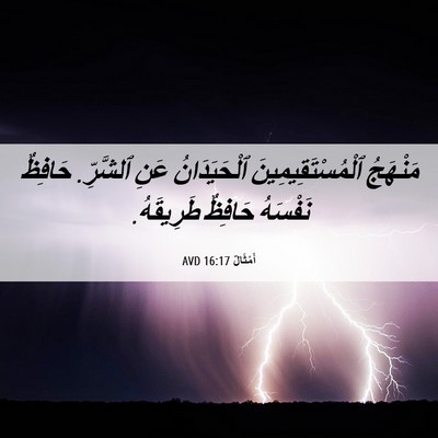 Picture 06 - أَمْثَالٌ 16:17 AVD - مَنْهَجُ - Bible Verse Picture