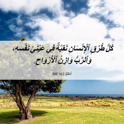 Picture 06 - أَمْثَالٌ 16:2 AVD - كُلُّ طُرُقِ ٱلْإِنْسَانِ - Bible Verse Picture