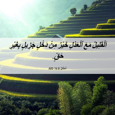 Picture 06 - أَمْثَالٌ 16:8 AVD - اَلْقَلِيلُ مَعَ - Bible Verse Picture