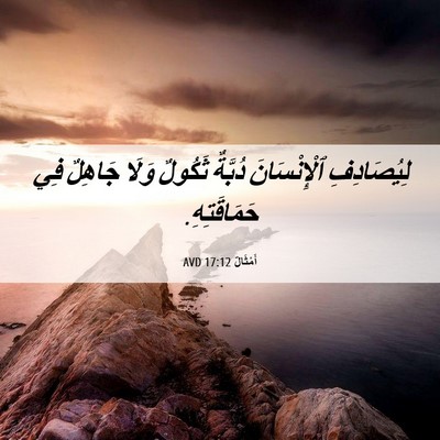 Picture 06 - أَمْثَالٌ 17:12 AVD - لِيُصَادِفِ ٱلْإِنْسَانَ - Bible Verse Picture