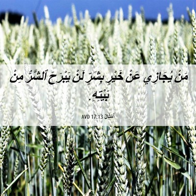 Picture 06 - أَمْثَالٌ 17:13 AVD - مَنْ يُجَازِي عَنْ خَيْرٍ - Bible Verse Picture