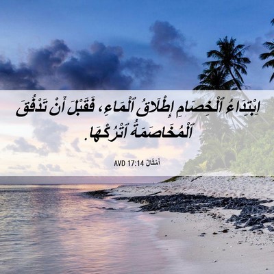 Picture 06 - أَمْثَالٌ 17:14 AVD - اِبْتِدَاءُ ٱلْخِصَامِ - Bible Verse Picture