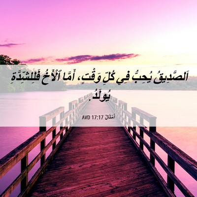 Picture 06 - أَمْثَالٌ 17:17 AVD - اَلصَّدِيقُ يُحِبُّ فِي - Bible Verse Picture