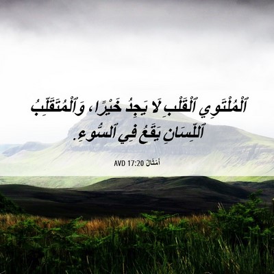 Picture 06 - أَمْثَالٌ 17:20 AVD - ٱلْمُلْتَوِي ٱلْقَلْبِ - Bible Verse Picture