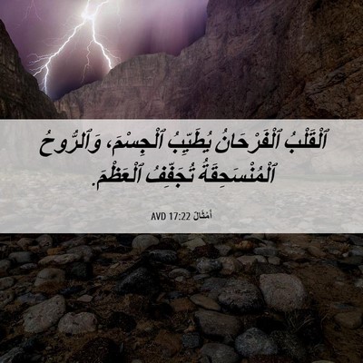 Picture 06 - أَمْثَالٌ 17:22 AVD - ٱلْقَلْبُ ٱلْفَرْحَانُ - Bible Verse Picture