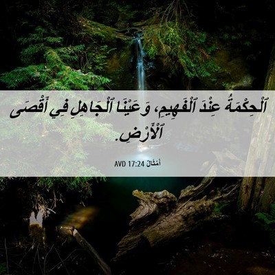 Picture 06 - أَمْثَالٌ 17:24 AVD - ٱلْحِكْمَةُ عِنْدَ - Bible Verse Picture