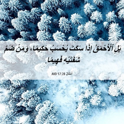 Picture 06 - أَمْثَالٌ 17:28 AVD - بَلِ ٱلْأَحْمَقُ إِذَا - Bible Verse Picture