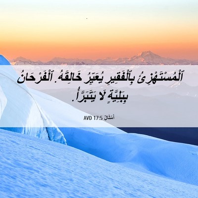Picture 06 - أَمْثَالٌ 17:5 AVD - ٱلْمُسْتَهْزِئُ - Bible Verse Picture