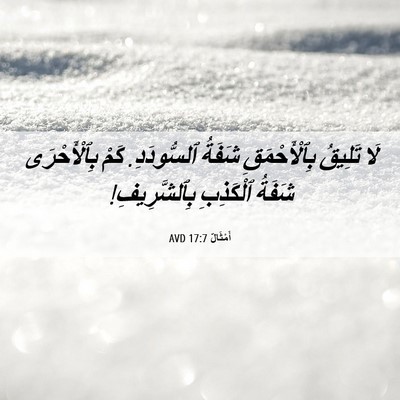 Picture 06 - أَمْثَالٌ 17:7 AVD - لَا تَلِيقُ بِٱلْأَحْمَقِ - Bible Verse Picture