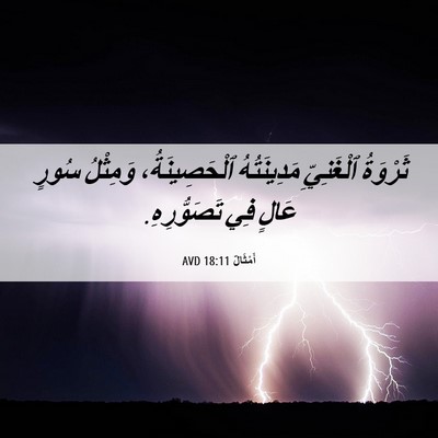 Picture 06 - أَمْثَالٌ 18:11 AVD - ثَرْوَةُ ٱلْغَنِيِّ - Bible Verse Picture