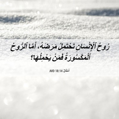 Picture 06 - أَمْثَالٌ 18:14 AVD - رُوحُ ٱلْإِنْسَانِ - Bible Verse Picture