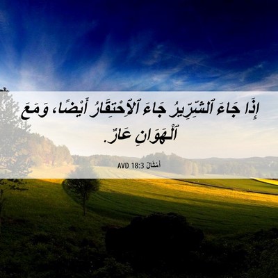 Picture 06 - أَمْثَالٌ 18:3 AVD - إِذَا جَاءَ ٱلشِّرِّيرُ - Bible Verse Picture