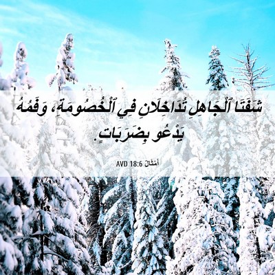 Picture 06 - أَمْثَالٌ 18:6 AVD - شَفَتَا ٱلْجَاهِلِ - Bible Verse Picture