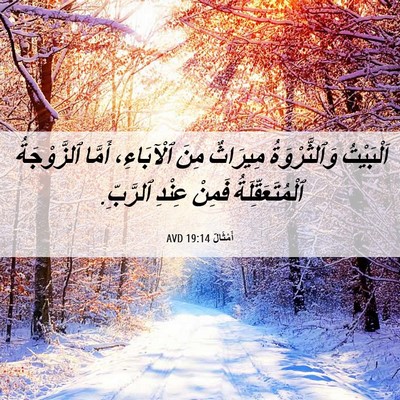 Picture 06 - أَمْثَالٌ 19:14 AVD - اَلْبَيْتُ وَٱلثَّرْوَةُ - Bible Verse Picture